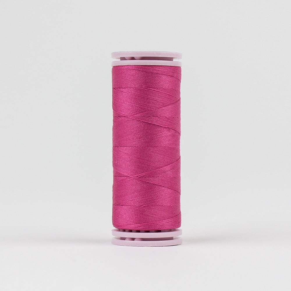 Efina EF22 - Raspberry