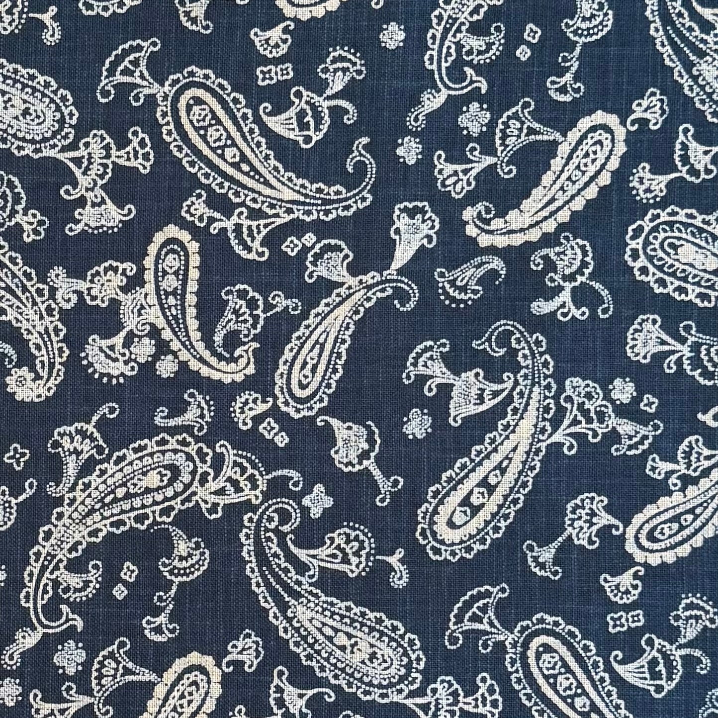 Flowing Paisley - Cotton Print Fabric - $55 Per Metre